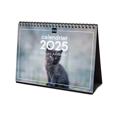 Image of Finocam Calendar Desktop Images to Write 2025 1 Month Per Page January December (12 Months) French Kittens