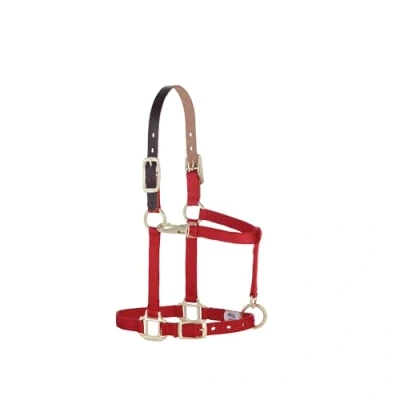Image of Weaver Leather Nylon Adjustable Breakaway Horse Halter, Average, Red