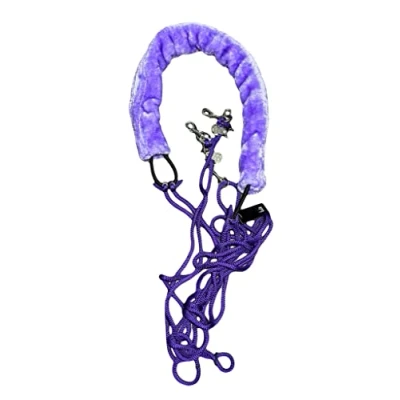 Image of Equipride Pessoa Based Horse Training Aid Lunging System Purple (Purple, One Size Only)