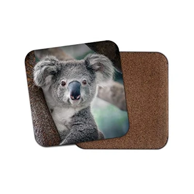 Image of 1 x Koala Bear Coaster Australia Wild Cute Animal Australian Outback #15050