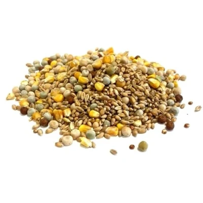 Image of Mixed Pigeon Corn 5kg Premium Quality Bird Food