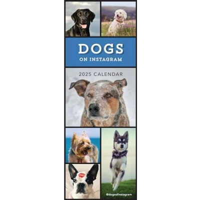 Image of 2025 Dogs on Instagram Slim Wall Calendar