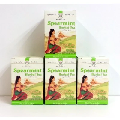Image of Palanquin Spearmint Tea (4 Boxes)