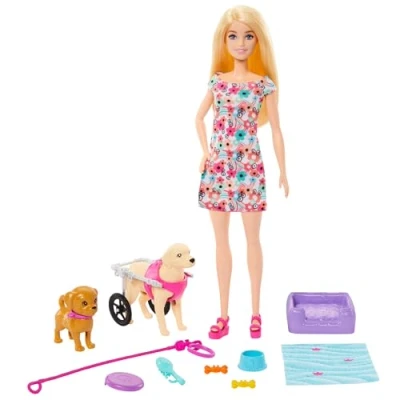 Image of Barbie Doll with 2 Toy Dogs &amp; Pet Accessories, 1 Pup in a Removable Wheelchair Rolling Wheels, 10+ Piece Set, HTK37