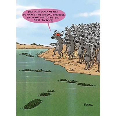 Image of First To Try Funny Birthday Greeting Card Fernz Animalfunction Humour Cards ANFH0025