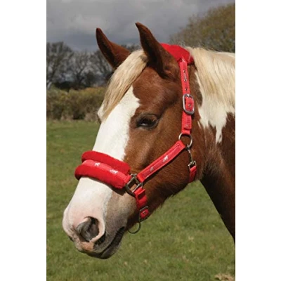 Image of Rhinegold Logo Headcollar fleece trim shetland red