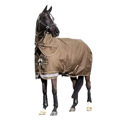 Image of LeMieux Arika Ripstop 50g Turnout Rug Detachable Neck 600Denier Alpine 5ft