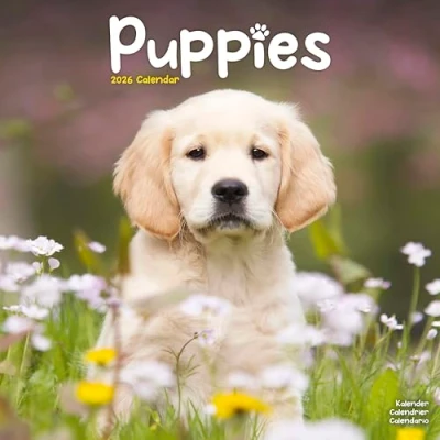 Image of Puppies Calendar 2026
