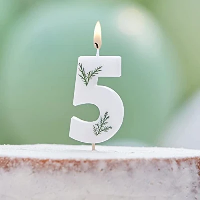 Image of Ginger Ray Birthday Cake Candle Decoration Foliage Floral Eco Number 5