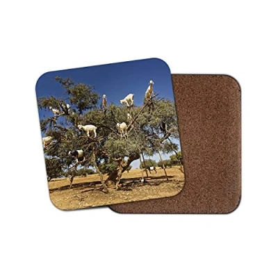 Image of 1 x Funny Tree Goats Coaster Goat Morocco Animal Kids Mum Auntie #8667