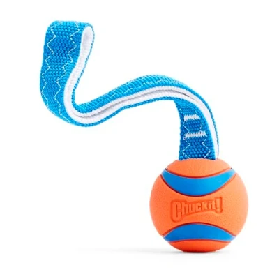 Image of Chuckit! Ultra Tug Dog Toy With Rubber Ball Of War Interactive Fetch for Dogs, Medium