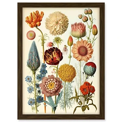 Image of Artery8 Vintage Botanical Illustration Ernst Haeckel Style Plant Study Modern Watercolour Painting Artwork Framed A3 Wall Art Print