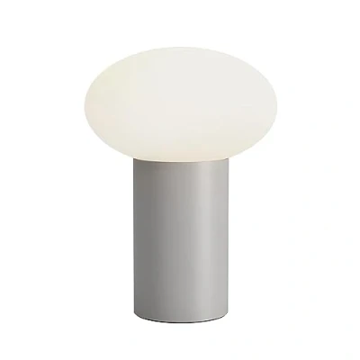 Image of Zeppo Portable Pebble Grey Light Astro