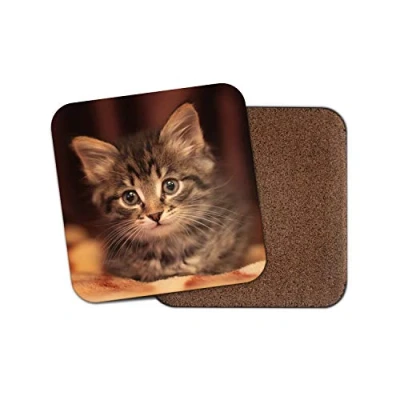 Image of 1 x Cute Tabby Kitten Coaster Cat Baby Kitty Pets Animals Girls #15946