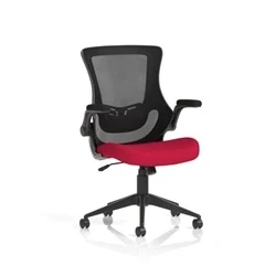 Image of Orbit Black Mesh Back Chair Bespoke Colour Seat Bergamot Cherry