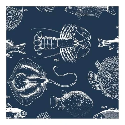Image of Contour Antibac Into The Deep Navy Wallpaper Paste Wall Blue Contemporary Detailed Illustrative Fish Drawing Design Feature or 4 Suitable for Any Room