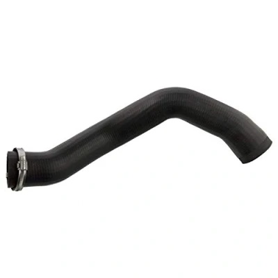 Image of 2E0145828 Turbocharger Hose FEBI BILSTEIN 103163 65mm with clamp VOLKSWAGEN: Crafter 30 50 Platform/Chassis, Van