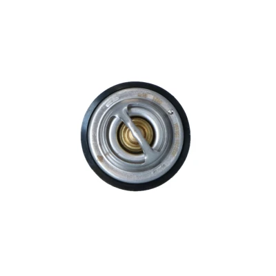 Image of 0012036875, 0012039175, 0022037675, 0022037676, 0022038175 Engine thermostat NRF 725194 87C with seal ring without housing