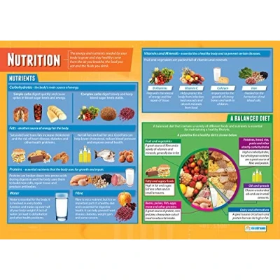 Image of Daydream Education Nutrition Poster EXTRA LARGE A1 (850mm x 594mm) Gloss Paper PSHE Secondary School Wall Charts