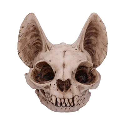 Image of Nemesis Now Bastet&#039;s Secret Cat Skull Figurine Ornament, Natural Bone Colour, One Size
