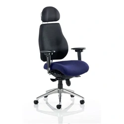 Image of Chiro Plus Ultimate with Headrest Bespoke Colour Seat Stevia Blue