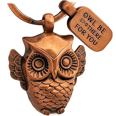 Image of LANOLU Owl Keyring, Gifts, Courage Gift, Lucky Charm Key Ring Friendship Gifts with Engraving Pendant Be There for You and 3D Figure Made of Metal, Vintage copper, S, Keyring