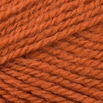 Image of Stylecraft Life DK 100g (2312 Copper)