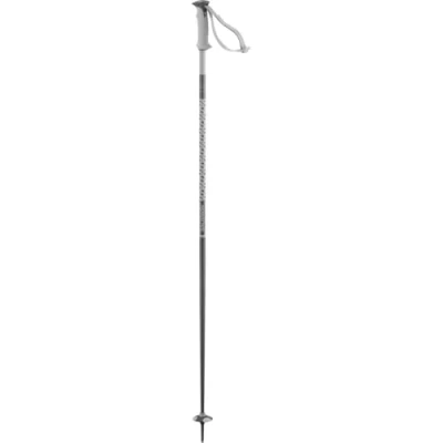 Image of Salomon POLAR Grey Violet 120