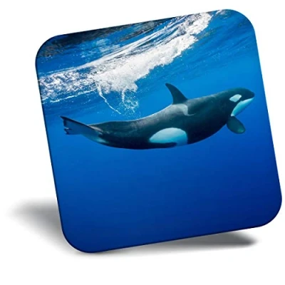 Image of Destination Vinyl ltd Fridge Magnet Orca Killer Whale Underwater 2006