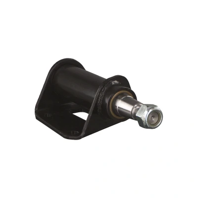 Image of 097028967, 097039325, 97028967, 97039325 Control Arm FEBI BILSTEIN 43355 Front Axle with lock nuts