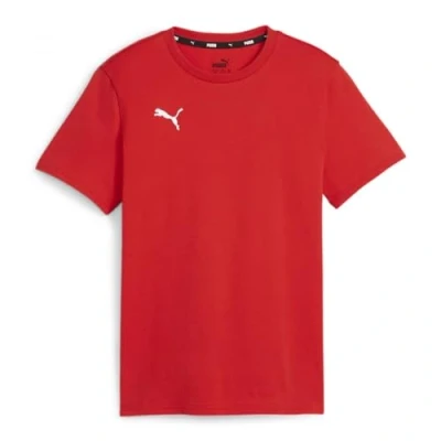 Image of PUMA teamGOAL Casuals Tee Jr