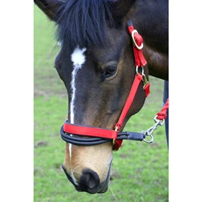 Image of Sundry Ezyloader Horse Head Collar Adapter (One Size) (Black)