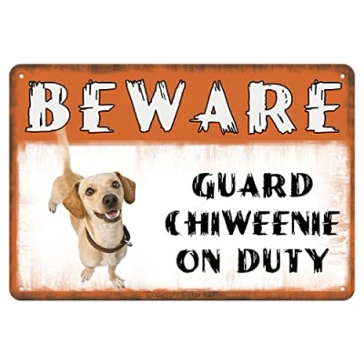 Image of Beware Guard Chiweenie Dog On Duty Iron Tin Sign Metal Retro Vintage Poster Wall Art Decor 8x12 Inches