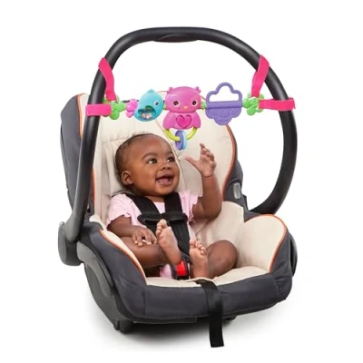 Image of Bright Starts Busy Birdies Carrier Toy Bar Musical Take Along with Lights, Ages Newborn +