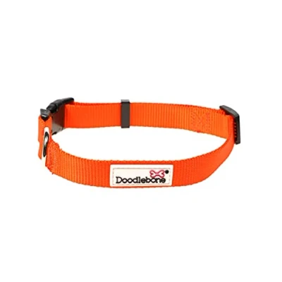 Image of Doodlebone Dog Collar, Tangerine, 1 2