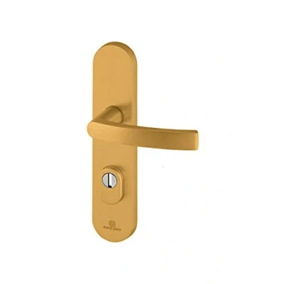 Image of Bricard 9900051 Set of Armoured Handles on Essential Plate, 9900131