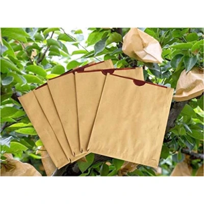Image of 100pcs Fruit Protection Bag, Double Layer Waterproof Grow Bags, Agriculture Orchard Breeding Bag For Peach/Apple/Pear, Pest Control Anti bird (Color : Red inside)