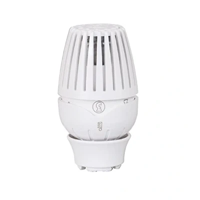 Image of GIACOMINI Thermostatic Radiator Head with Liquid Sensor R460X001
