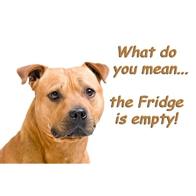 Image of Staffordshire Bull Terrier Staffy Funny Fridge Magnet perfect Birthday or Christmas Gift