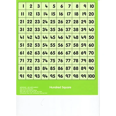 Image of Buzz HUNDRED SQUARE Write On / Wipe Off Early Years NUMERACY Resource 20cm x