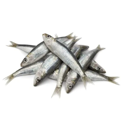 Image of Sardines 2 kg /+10%