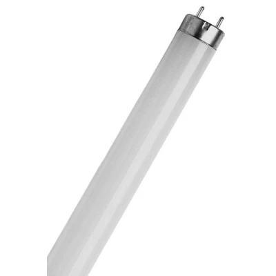 Image of Osram 36 Watt Biolux T8 Fluorescent Lamps Sockets