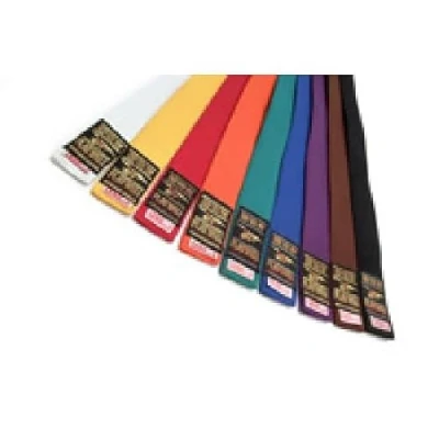 Image of Playwell Martial Arts 280CM Solid Coloured Grading Belts (Yellow)