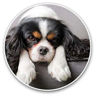 Image of Vinyl Stickers (Set of 2) 10cm Cavalier King Charles Spaniel Dog Decals for Laptops,Tablets,Luggage,Scrap Booking,Fridges, 12388
