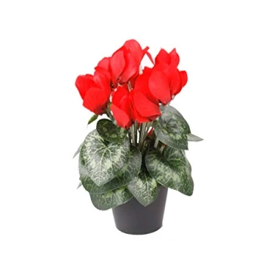Image of FloristryWarehouse Faux Silk Red Cyclamen Bush in Pot 25cm/10 Inches Tall