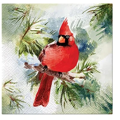 Image of 3Ply Xmas Winter Style Christmas Tissue Paper Napkins for Decoupage 33cm x Serviettes Pack of 20 (Winter Cardinal)