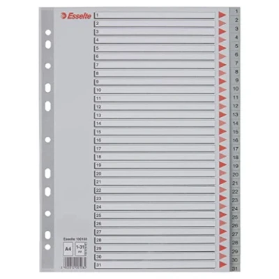 Image of Esselte A4 31 Positions Index Polypropylene with Cover