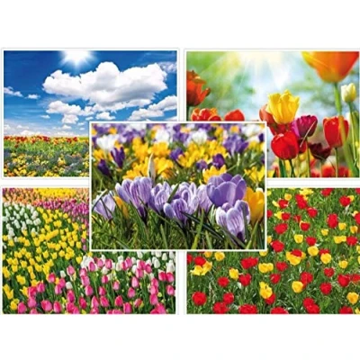 Image of Edition Colibri Spring Postcard Set (10 Pieces) 5 Different Designs of Tulips, Easter Bells and Crocuses,Colourful,14.8 x 10.5 cm