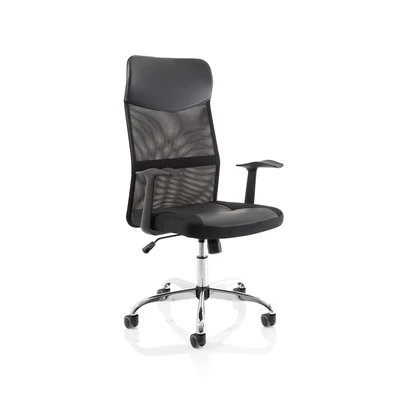 Image of Vegalite Executive Mesh Chair Black With Arms EX000166