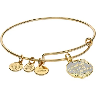 Image of Alex and Ani Color Infusion Mother of The Groom Bangle One Size metallic